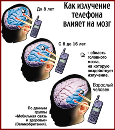 мозг человека и электромагнитное излучение